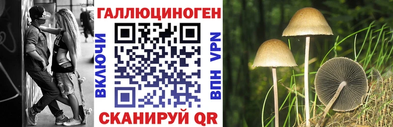 Галлюциногенные грибы Cubensis Нытва